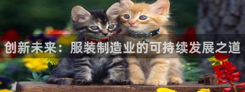 万事娱乐的介绍词