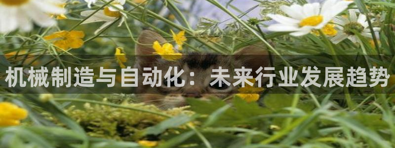 万事其昌娱乐传媒
