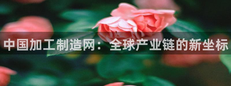 娱乐万事