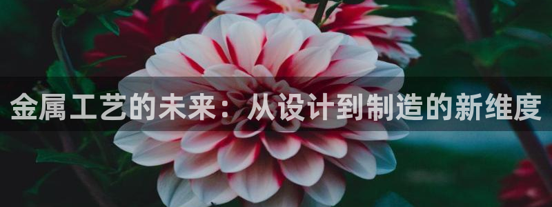 万事娱乐344272