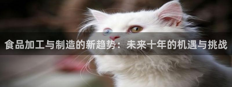 万事达娱乐P妙441200