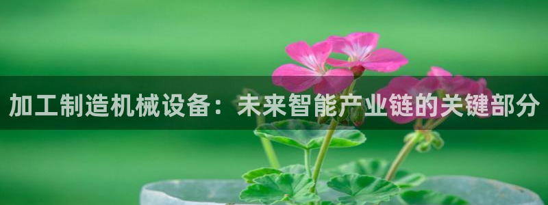 万事娱乐测速软件下载