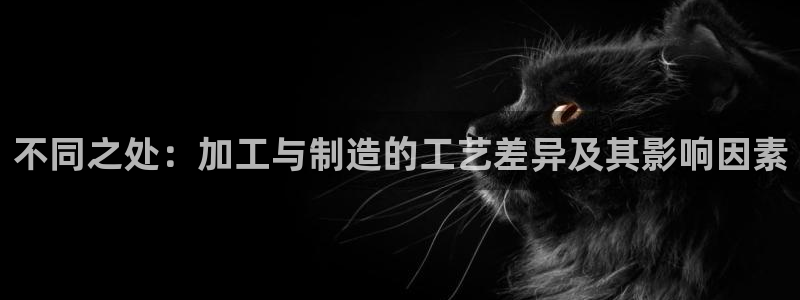 万事娱乐主管薪资多少