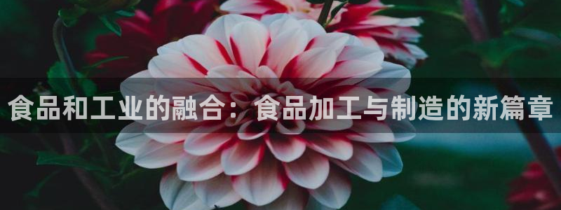 万事娱乐找382223