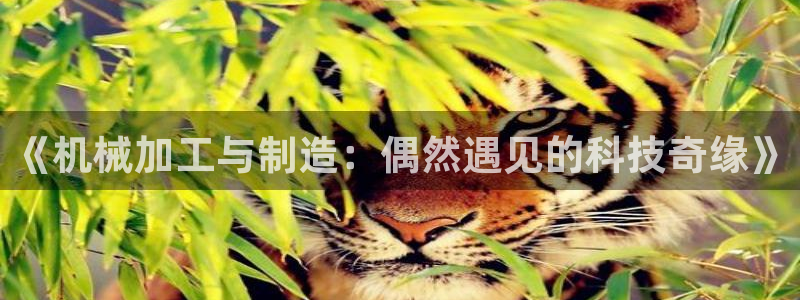 万事娱乐非同凡享
