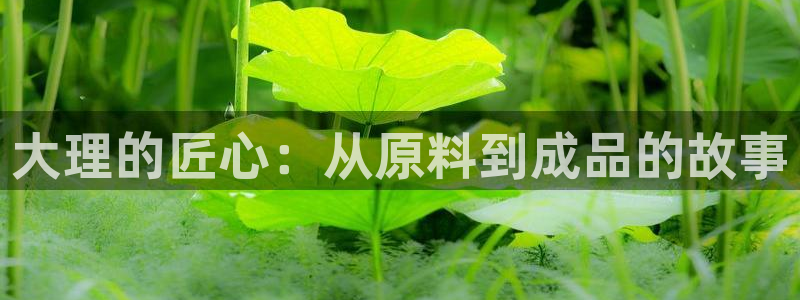 万事娱乐最高总代理