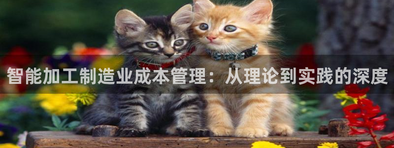 万事博国际娱乐
