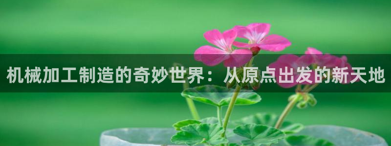 万事娱乐平台登录入口
