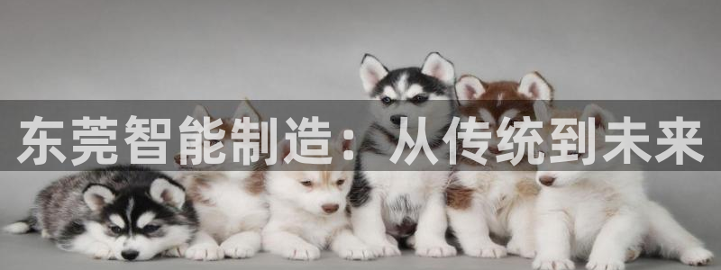 万事达娱乐代理