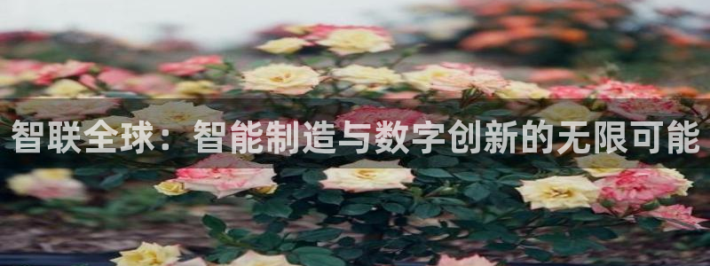 万事娱乐是什么