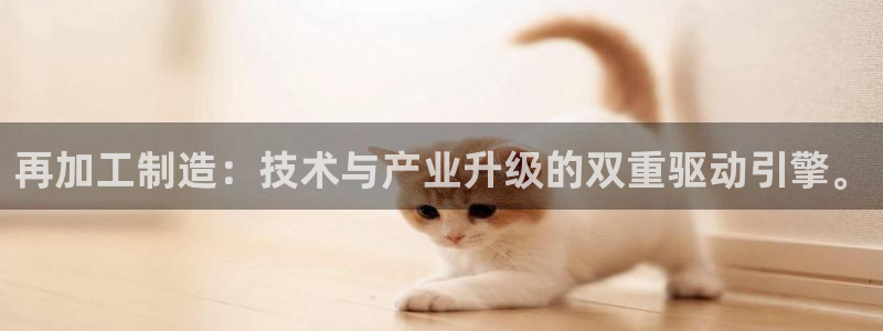 娱乐播放万事屋