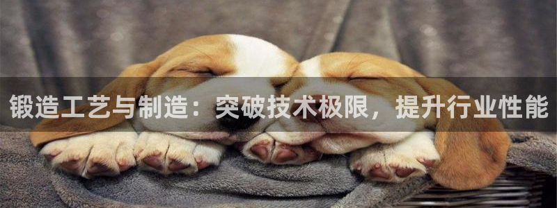 万事国际娱乐
