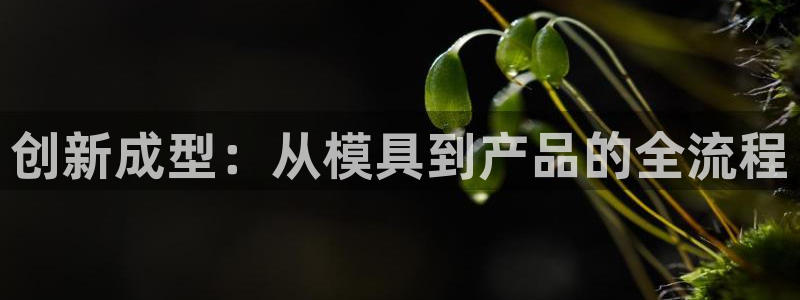 万事娱乐官网首页