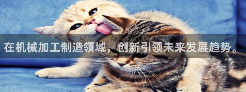 万事娱乐下载地址查询