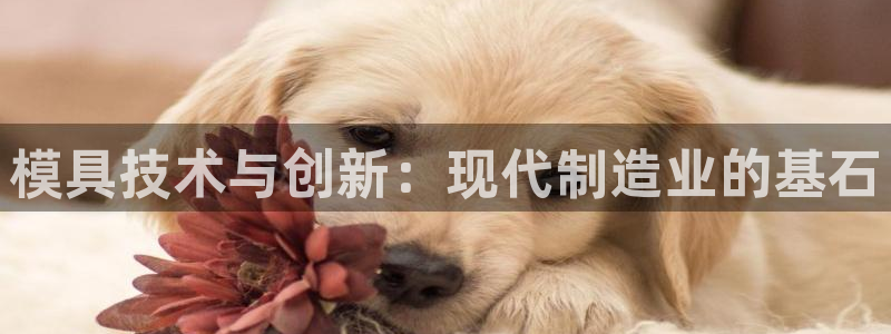 万事娱乐连接