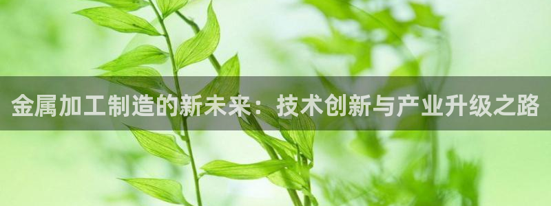 娱乐万事成