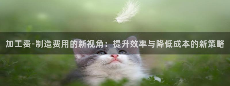 万事大吉娱乐项目