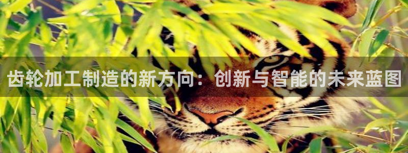 万事其昌娱乐传媒