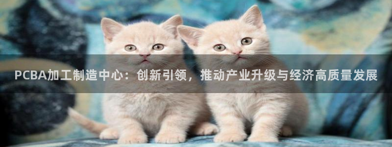 万事看娱乐