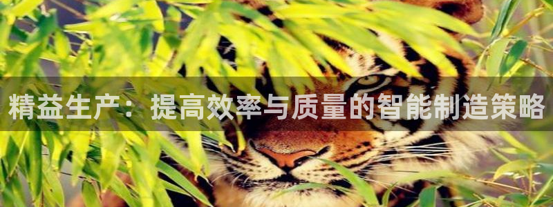 娱乐制造机万事屋
