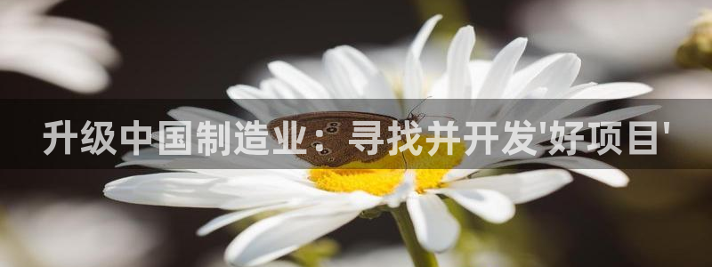 万事达娱乐指尖下