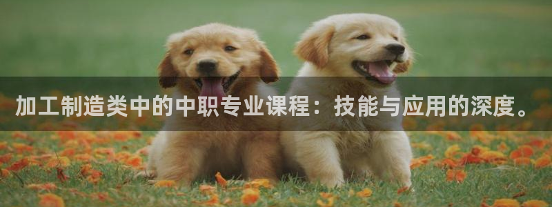 万事娱乐是什么