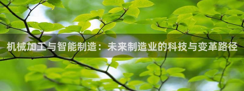 万事娱乐官网登录