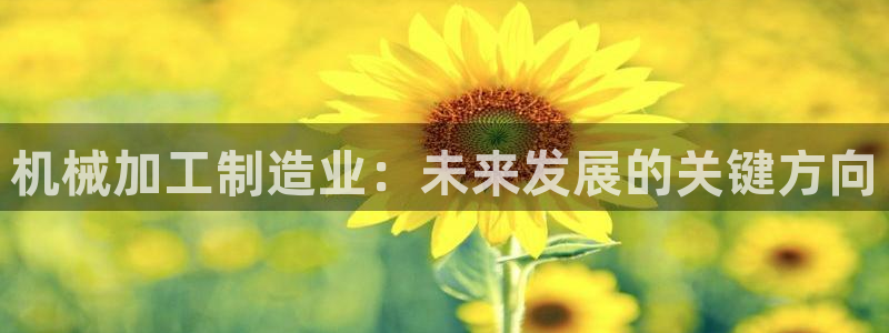 万事娱乐的介绍