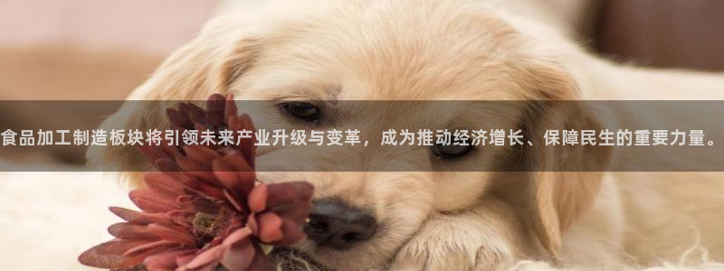 万事娱乐app