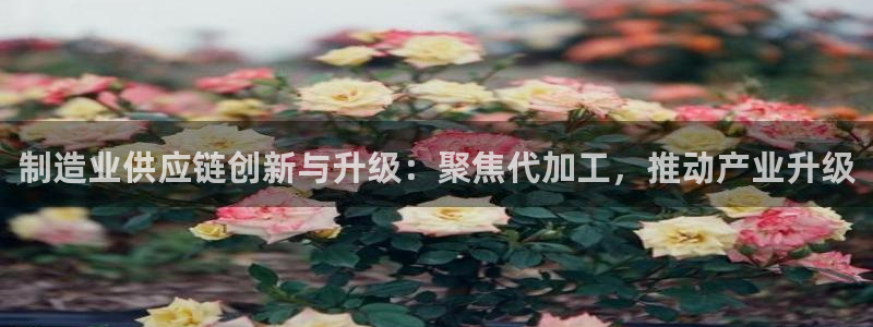 万事皆可娱乐