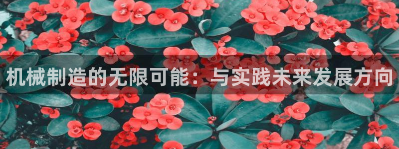 万事娱乐总代